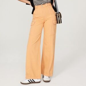 Hudson Orange Cargo Pants, Size 31